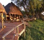 Mombo Camp + Little Mombo Camp